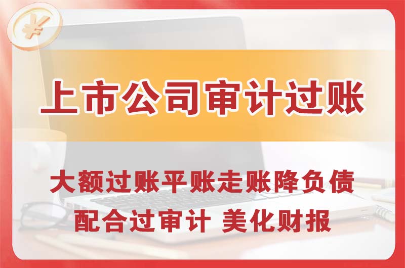 陆丰上市公司审计过账