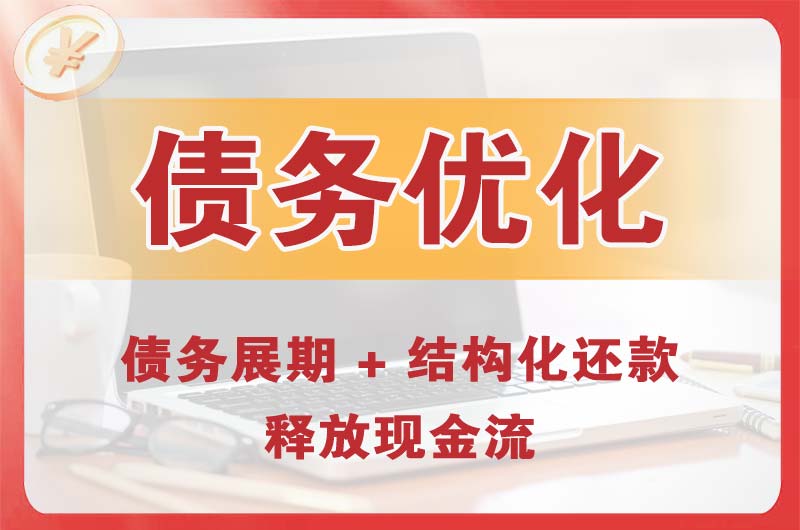 陆丰债务优化