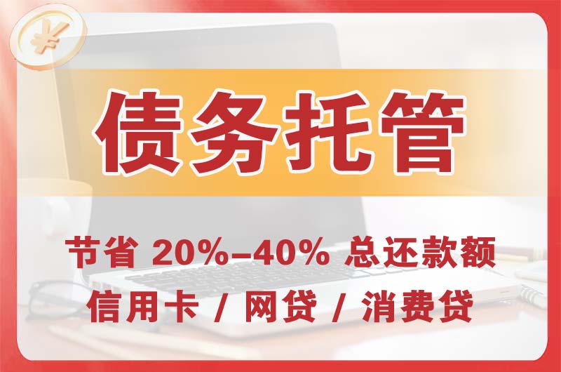 陆丰债务托管