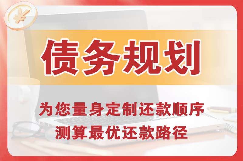 陆丰债务规划